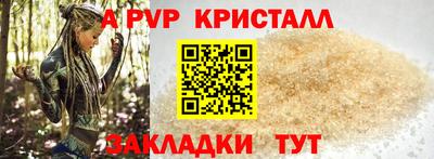стаф Малгобек