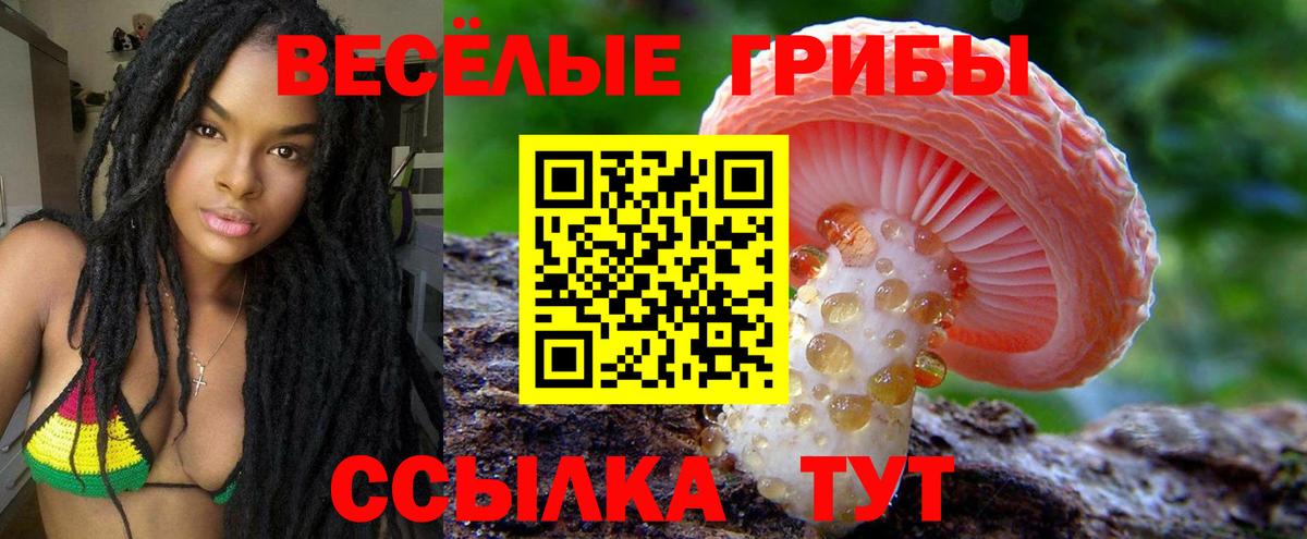 Долгопрудный  Галлюциногенные грибы мицелий  Вход с VPN  Псилоцибиновые грибы Magic Shrooms 